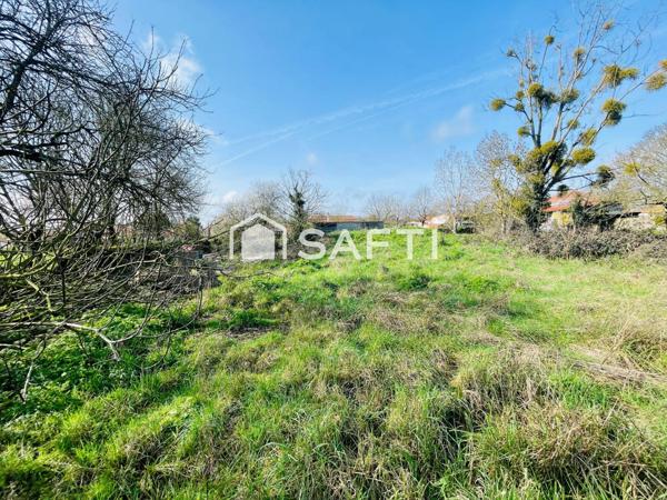 Terrain borné, constructible et non viabilisé