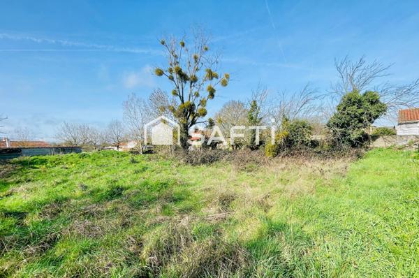 Terrain borné, constructible et non viabilisé