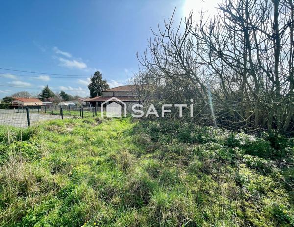 Terrain borné, constructible et non viabilisé