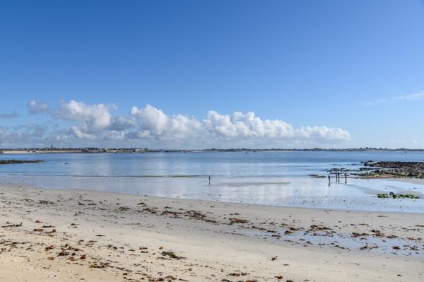 Vente Maison de luxe Larmor-Plage 11 Pièces 223 m²