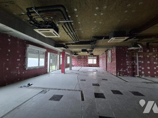 Immobilier Professionnel à vendre Delle