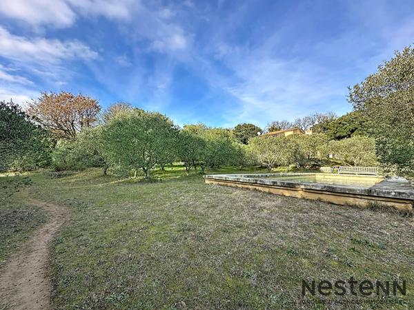 Maison de charme au coeur d'une oliveraie, calme absolu et panorama d'exception