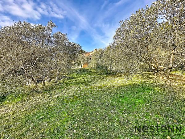 Maison de charme au coeur d'une oliveraie, calme absolu et panorama d'exception