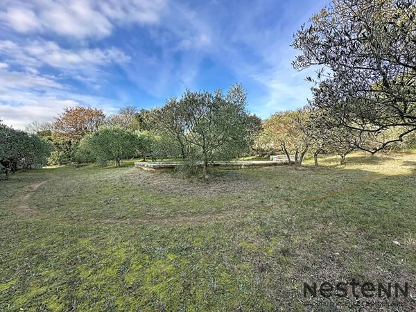 Maison de charme au coeur d'une oliveraie, calme absolu et panorama d'exception