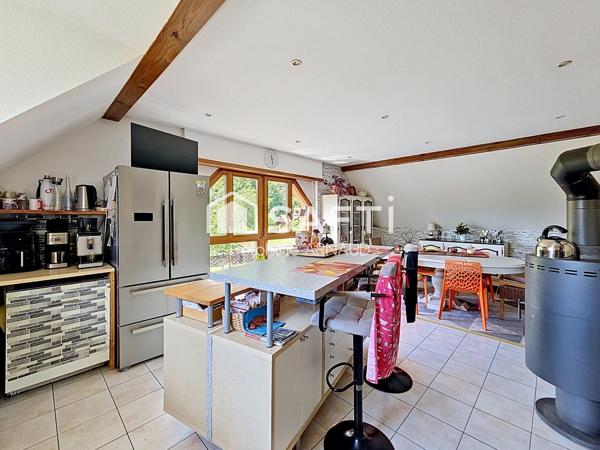 A Neuve-Église (67220) – Duplex lumineux au calme