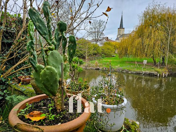 pont saint martin - centre ville - maison de 122 m2 - 2 chambres + 1 mezzanine, - vue sur la nature - stationn