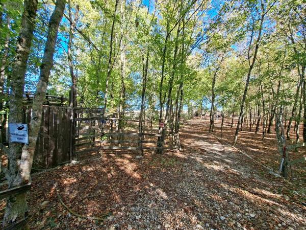 Achat - Terrain de loisirs, bois, étangs | Terrain de loisirs Osmery 18130 3720 m 2