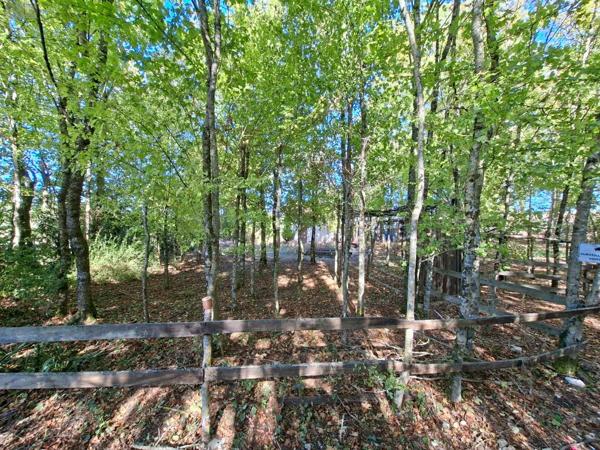 Achat - Terrain de loisirs, bois, étangs | Terrain de loisirs Osmery 18130 3720 m 2