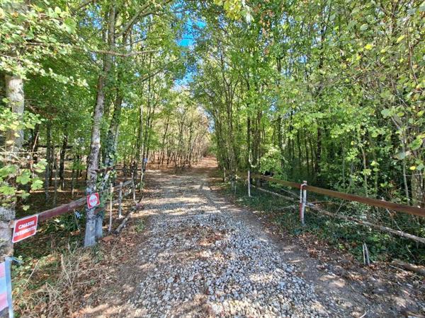 Achat - Terrain de loisirs, bois, étangs | Terrain de loisirs Osmery 18130 3720 m 2