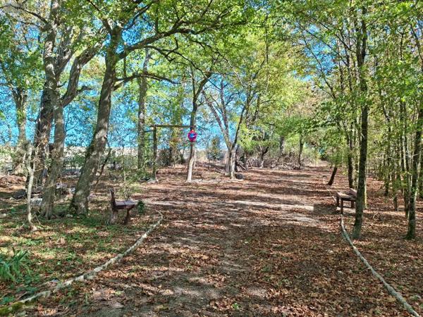 Achat - Terrain de loisirs, bois, étangs | Terrain de loisirs Osmery 18130 3720 m 2
