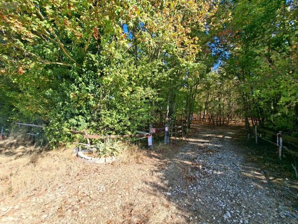 Achat - Terrain de loisirs, bois, étangs | Terrain de loisirs Osmery 18130 3720 m 2