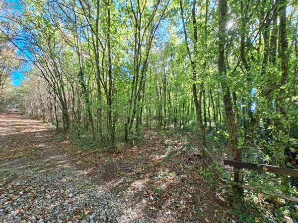 Achat - Terrain de loisirs, bois, étangs | Terrain de loisirs Osmery 18130 3720 m 2