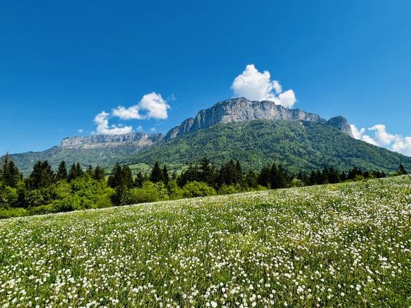 Appartement à vendre à Veyrier-du-Lac (74290) - Haute-Savoie
