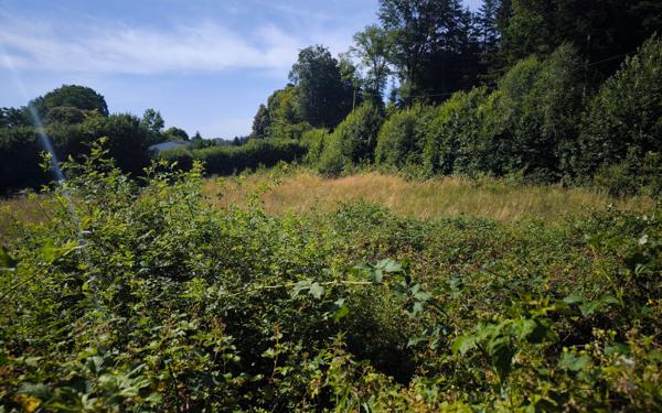 Terrain à vendre
