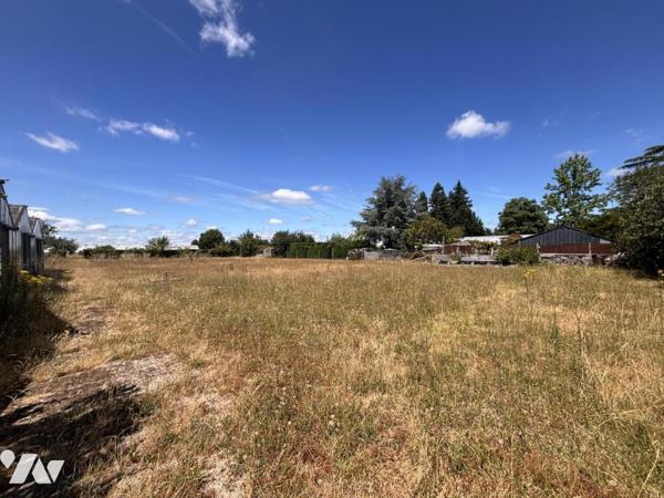 Vente Maison ancienne à La Ménitré (49250) 