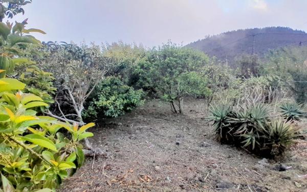 Maison à vendre    4 pièces •  Le Tampon