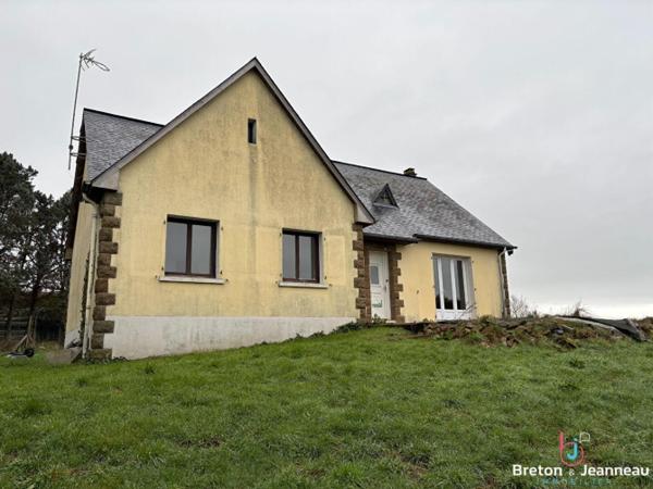 Maison sur 8 hectares à Cossé le Vivien