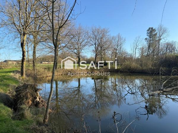 Terrain de loisirs avec étang