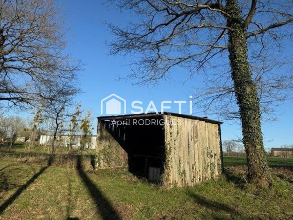 Terrain de loisirs avec étang