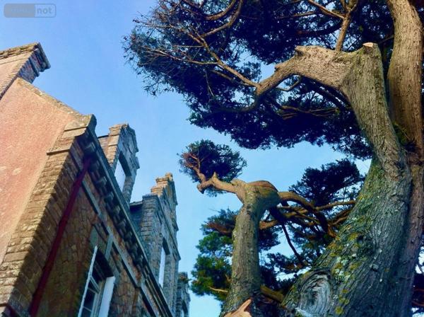 Maison à vendre à Carnac dans le Morbihan (56340), ref : 56041-805