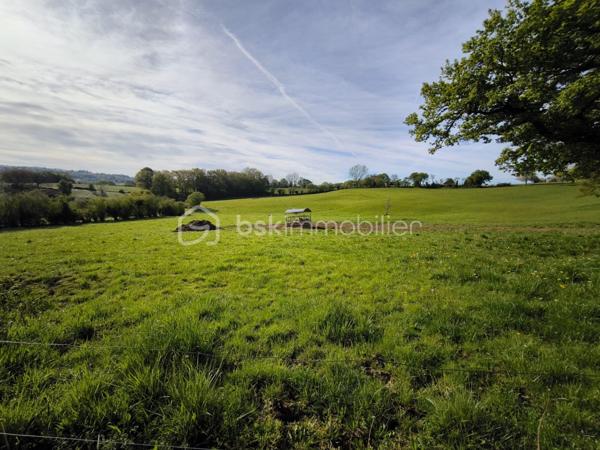 Terrain agricole de 50 000 m²