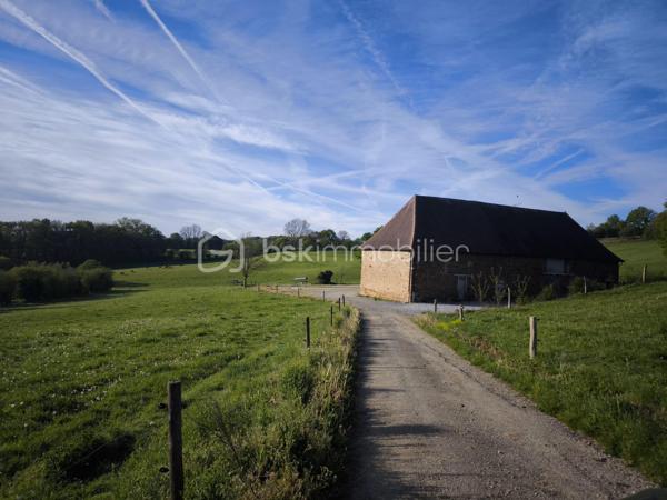 Terrain agricole de 50 000 m²