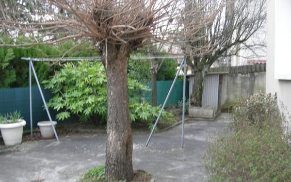 Maison à louer    4 pièces • 100 m2 Castres