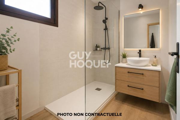 Appartement T3 - Vue étang  et Canigou