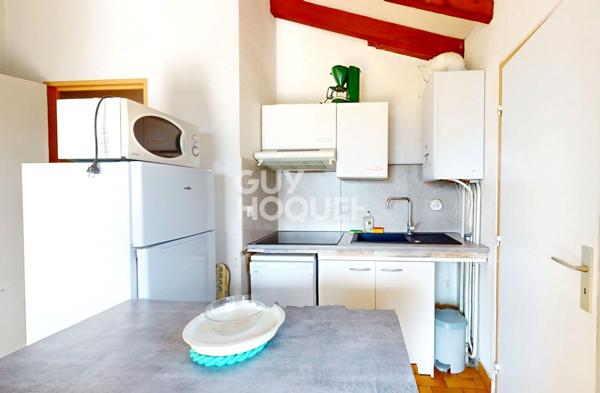 Appartement T3 - Vue étang et Canigou