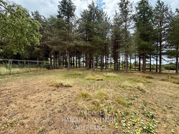 Maison à vendre 6 pièces TIERCE (49)