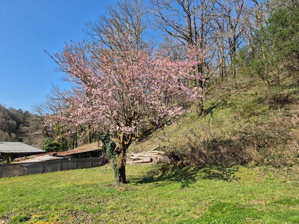 Maison Saint Chamant 4 pièce(s) 90 m2