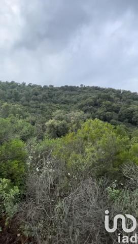 Terrain à vendre 118 021 m² Vidauban