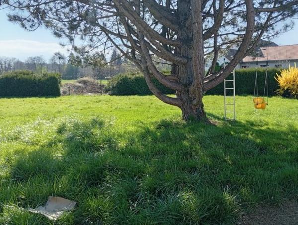 Maison individuelle Foussemagne 270 m²