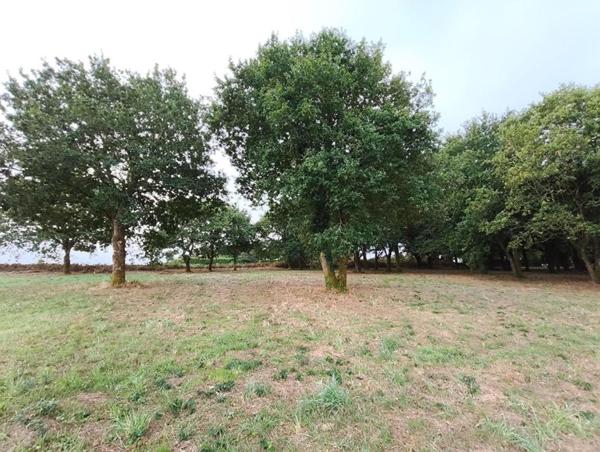 29270 Carhaix terrain constructible à 5 mn du centre ville, au calme