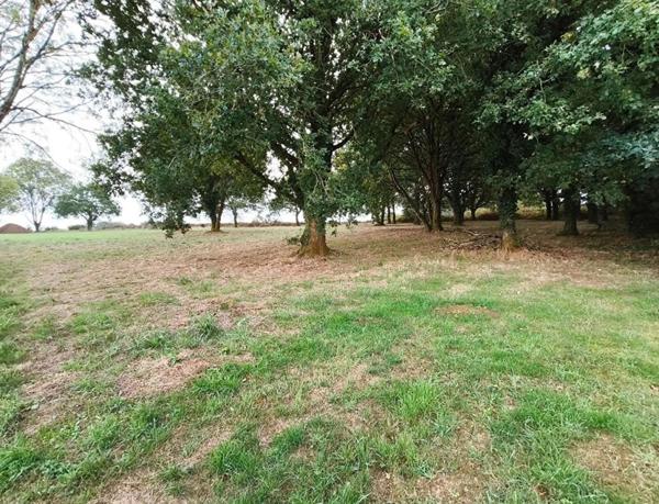 29270 Carhaix terrain constructible à 5 mn du centre ville, au calme
