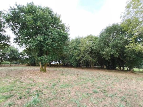 29270 Carhaix terrain constructible à 5 mn du centre ville, au calme