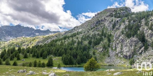 Hôtel-restaurant à vendre 570 m² Tende