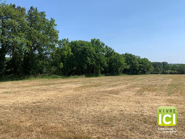 Terrain  bâtir 660 m2