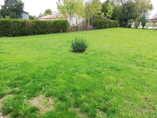 Terrain Marigny 800 m2
