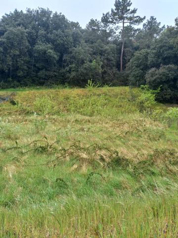 Terrain de 878m² entre forêt et plage