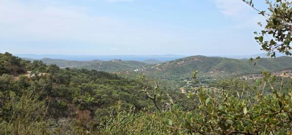 Terrain à vendre de 37 235,00 m² BORMES LES MIMOSAS (83)