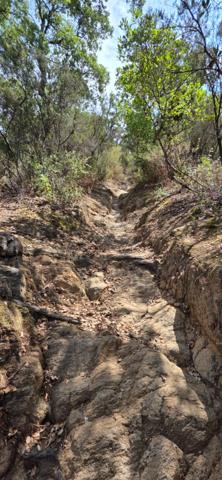 Terrain à vendre de 37 235,00 m² BORMES LES MIMOSAS (83)