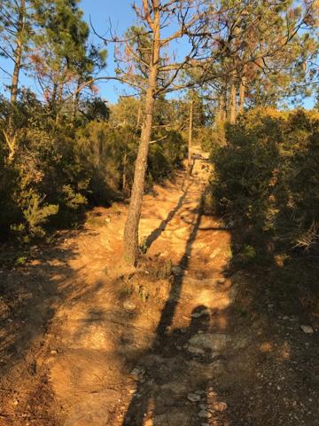 Terrain à vendre de 37 235,00 m² BORMES LES MIMOSAS (83)