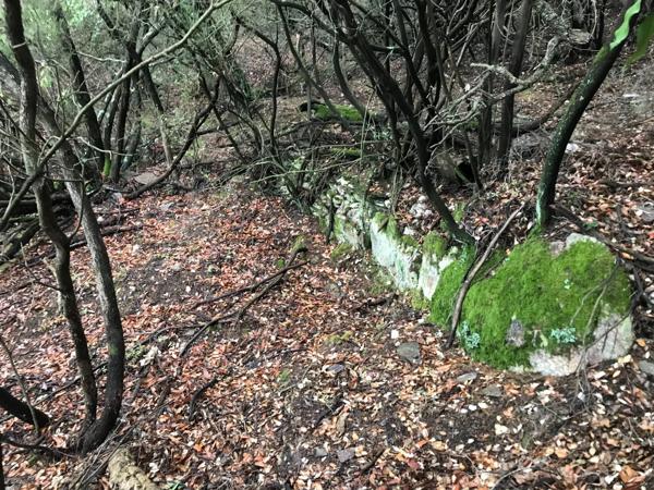 Terrain à vendre de 37 235,00 m² BORMES LES MIMOSAS (83)