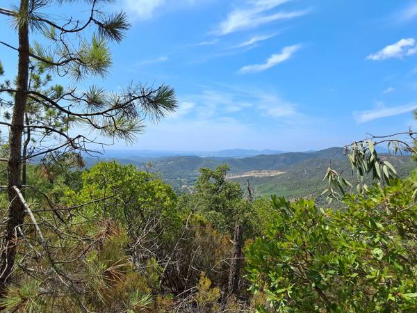 Terrain à vendre de 37 235,00 m² BORMES LES MIMOSAS (83)