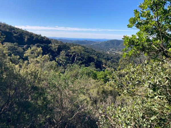 Terrain à vendre de 37 235,00 m² BORMES LES MIMOSAS (83)