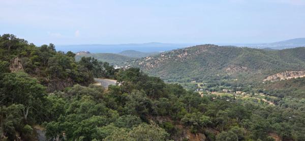 Terrain à vendre de 37 235,00 m² BORMES LES MIMOSAS (83)