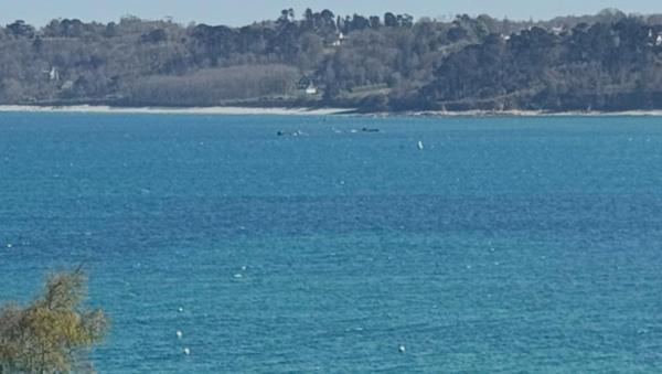 rare terrain vue mer