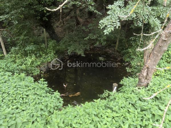 Un cadre naturel exceptionnel au Péage-de-Vizille et un beau potentiel pour cette maison à rénover !

Située au Péage-de-Vizille, cette propriété offre un environnement particulièrement calme, verdoyant et préservé, tout en restant à proximité des commodités. Avec ses beaux volumes, son terrain arboré et son vaste espace naturel, elle offre un véritable potentiel pour un projet de résidence principale, secondaire ou d'investissement.

L'un des principaux atouts de cette propriété réside dans son environnement naturel : en complément des 3 588 m² de terrain entourant la maison, le bien bénéficie également d'une importante partie boisée classée en zone naturelle, d'une superficie de 15 867 m².

🌳 Au total, ce sont donc plus de 19 000 m² d'espace naturel et de verdure qui accompagnent la propriété, offrant un environnement rare et paisible, idéal pour les amoureux de nature, d'espace et de tranquillité.

Implantée sur une parcelle arborée de 3 588 m², cette maison d'environ 118 m² habitables (120 m² de surface utile) séduira les acquéreurs à la recherche d'espace, de calme et d'un projet de rénovation.

La maison nécessite une rénovation complète, laissant libre cours à vos envies d'aménagement et permettant de créer un intérieur entièrement à votre image.

Des travaux sont notamment à prévoir concernant la toiture datant de 1983, la mise aux normes de l'assainissement individuel, ainsi que la rénovation intérieure.

La maison se compose de :
Au rez-de-chaussée :
Grand garage.
Plusieurs espaces annexes pouvant être aménagés selon vos besoins : atelier, buanderie, cave, espace de stockage ou pièces complémentaires.
À l'étage :
Deux chambres.
Un salon lumineux.
Une cuisine indépendante.
Une salle de bains.
WC séparés.
Une agréable terrasse exposée sud-ouest, idéale pour profiter des beaux jours.

Les combles offrent également un potentiel d'aménagement supplémentaire : bureau, salle de jeux, chambre d'appoint ou autre selon vos projets.

Une cave d'environ 12 m² complète l'ensemble.

🌿 Des extérieurs qui font toute la différence

Le terrain entourant la maison, entièrement bordé de verdure, offre un cadre particulièrement paisible, sans vis-à-vis immédiat.

Vous y trouverez notamment :

une petite mare,
de nombreux arbres et espaces verts,
des espaces couverts pouvant accueillir des animaux ou servir de stockage,
un environnement propice au calme et à la détente.

Et surtout, la propriété dispose d'une partie boisée classée en zone naturelle d'environ 15 867 m², offrant un véritable écrin de verdure supplémentaire autour de la maison.

Cet espace naturel constitue un atout majeur pour les personnes recherchant de la tranquillité, de l'espace et un environnement préservé, tout en bénéficiant d'une propriété avec un important potentiel de rénovation.

⭐ Les atouts

✔ Située au Péage-de-Vizille

✔ Plus de 19 000 m² au total entre terrain et espace boisé naturel

✔ 15 867 m² de partie boisée classée en zone naturelle

✔ Terrain autour de la maison de 3 588 m²

✔ Environnement calme, verdoyant et préservé

✔ Maison d'environ 118 m² habitables

✔ Terrasse exposée sud-ouest

✔ Nombreuses dépendances et espaces annexes

✔ Cave d'environ 12 m²

✔ Fort potentiel après rénovation

Ce bien s'adresse avant tout aux acquéreurs souhaitant entreprendre des travaux afin de créer une maison à leur image, tout en profitant d'un environnement naturel exceptionnel aux portes de Vizille et de vastes espaces extérieurs.

Une propriété rare au Péage-de-Vizille par son environnement, ses surfaces extérieures et son potentiel, qui mérite d'être découverte.