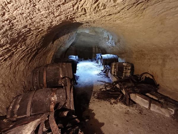 DOUE CENTRE - Terrain constructible 1071 m², partiellement clos de murs